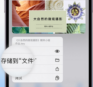 永兴apple维修中心分享iPhone文件应用中存储和找到下载文件