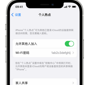 永兴apple服务站点分享iPhone上个人热点丢失了怎么办