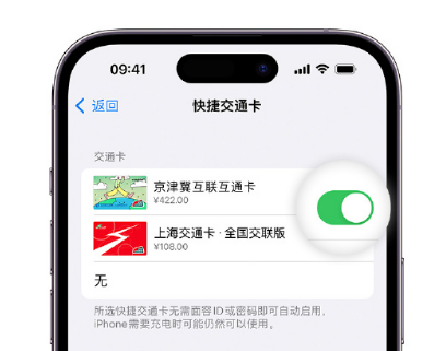 永兴apple维修点分享iPhone上更换Apple Pay快捷交通卡手绘卡面 