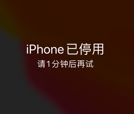 永兴苹果手机维修分享:iPhone 显示“不可用”或“已停用”怎么办？还能保留数据吗？ 