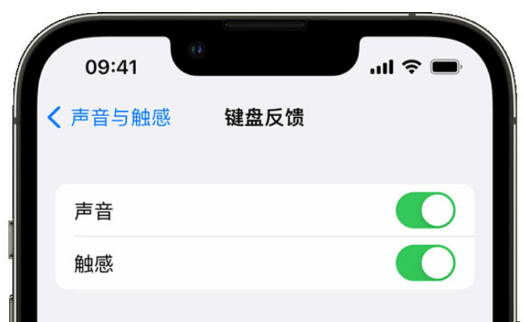 永兴苹果手机维修分享iPhone 14触感键盘使用方法 