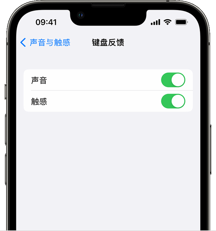 永兴苹果14维修店分享如何在 iPhone 14 机型中使用触感键盘 