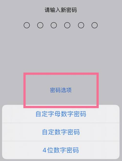 永兴苹果14维修分享iPhone 14plus设置密码的方法 