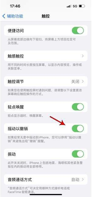 永兴苹果手机维修分享iPhone手机如何设置摇一摇删除文字 