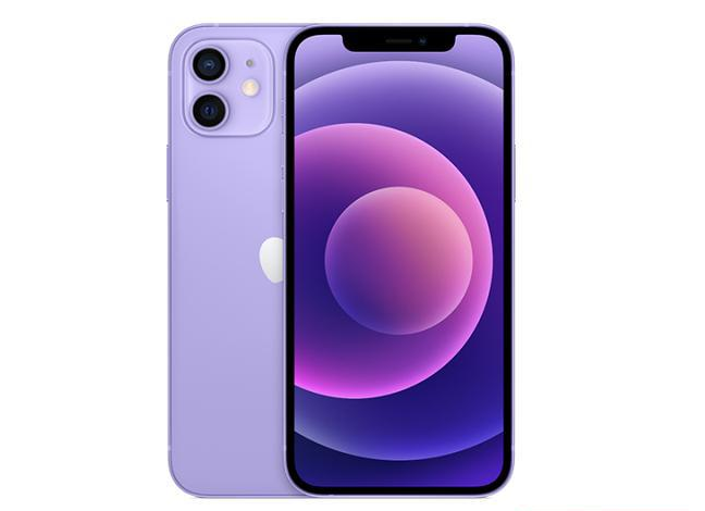 永兴苹果手机维修分享现阶段要不要入手紫色版iPhone12 