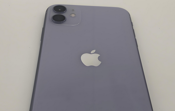 永兴苹果11系统维修分享iPhone11手机系统崩溃无法开机如何解决 